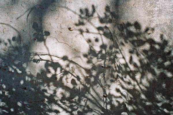 Lgret photo 1